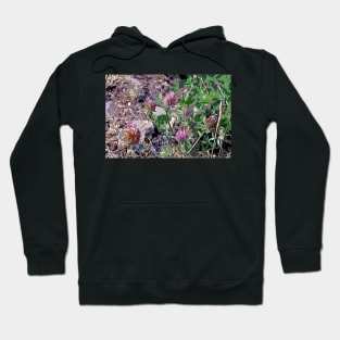 Purple coastal Flowers Hoodie